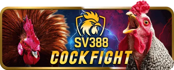 Đường dây nóng gg8816
